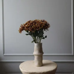 Semi-Cactus Dahlia blomst, brun
