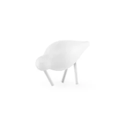Shorebird small, white