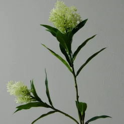 Skimmia Berry Branch, hvit