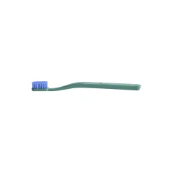 Tannbørste, pine green/blue