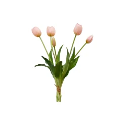 Tulipan bukett 5 stk, light pink