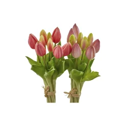Tulipan bukett 9 stk, two tone pink
