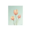 Tulipaner mint plakat, 40x30 cm